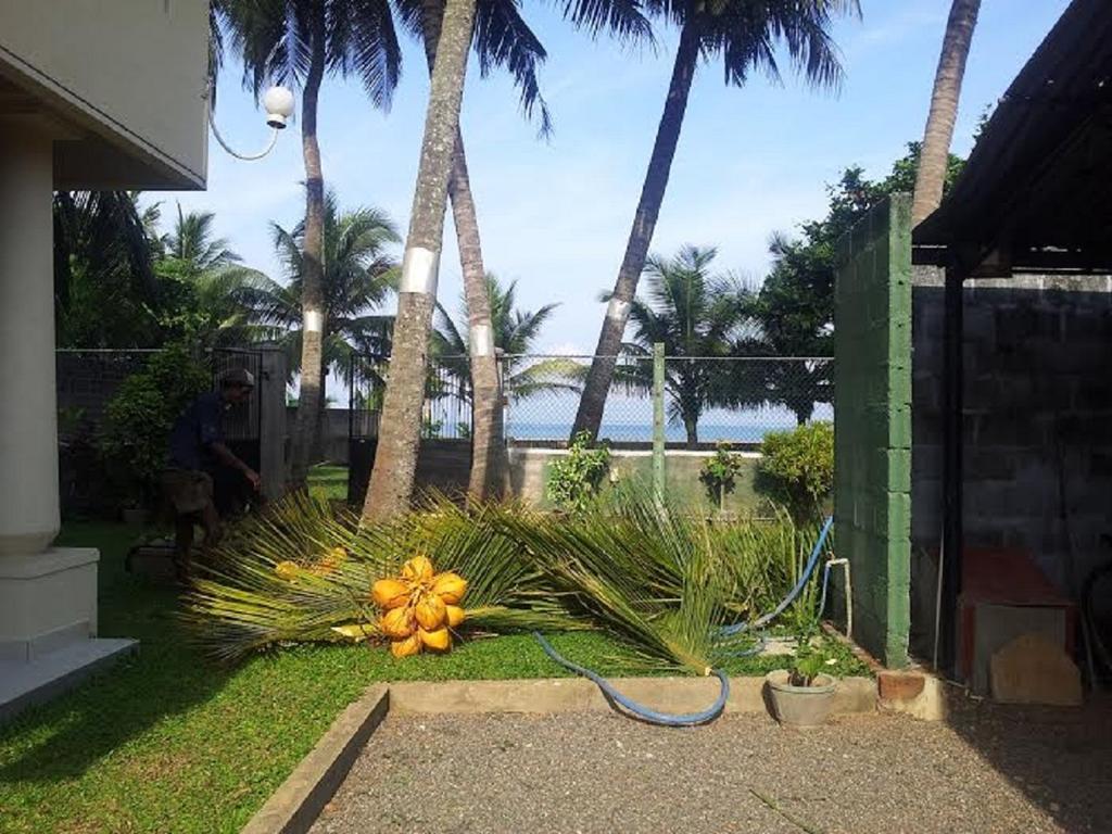 Janishi Residencies Hotell Negombo Eksteriør bilde